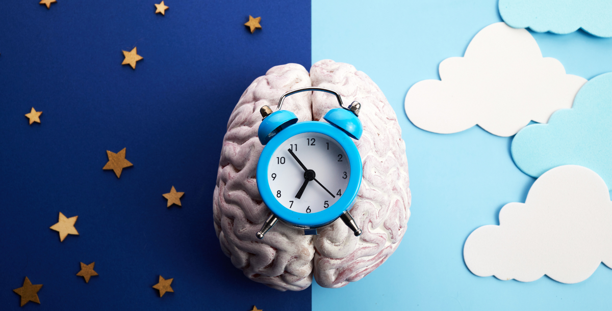 Five Things You Need To Know About Circadian Rhythms Osin 